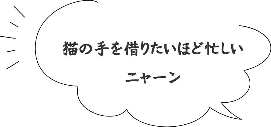 猫の手を借りたいほど忙しいニャーン
